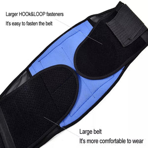 Back Support Belt