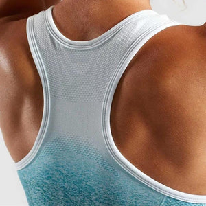 Ombre Seamless Sports Bra