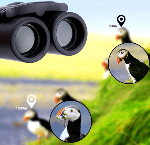 Compact Zoom Binoculars 8x21