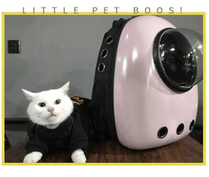 Space Capsule Pet Bag