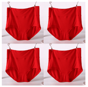 4Pcs/Lot Big Size Panties High Waist