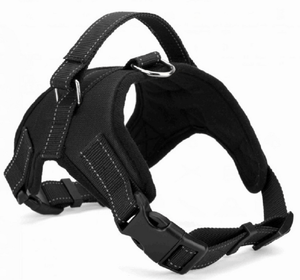 Dog Harness Collar