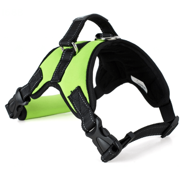 Dog Harness Collar