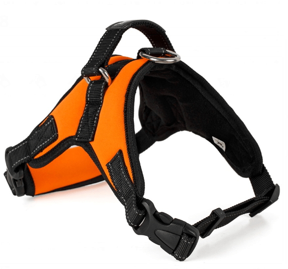 Dog Harness Collar