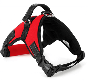 Dog Harness Collar