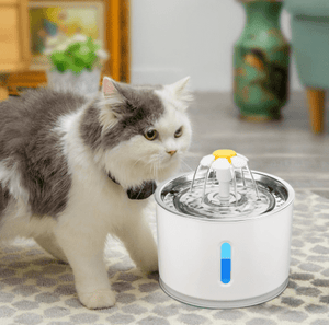 Pet Water Fountain