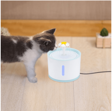 Pet Water Fountain