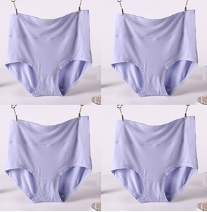 4Pcs/Lot Big Size Panties High Waist