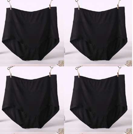 4Pcs/Lot Big Size Panties High Waist