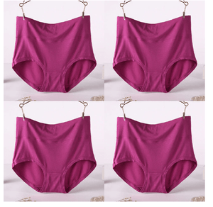 4Pcs/Lot Big Size Panties High Waist