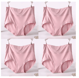 4Pcs/Lot Big Size Panties High Waist