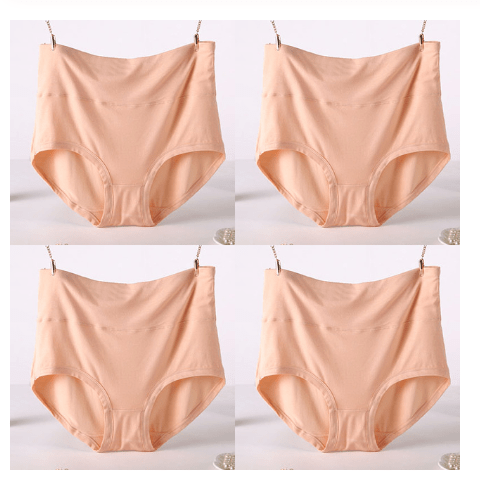 4Pcs/Lot Big Size Panties High Waist