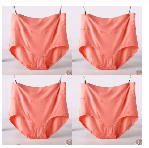 4Pcs/Lot Big Size Panties High Waist