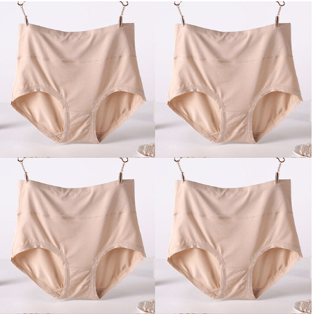 4Pcs/Lot Big Size Panties High Waist