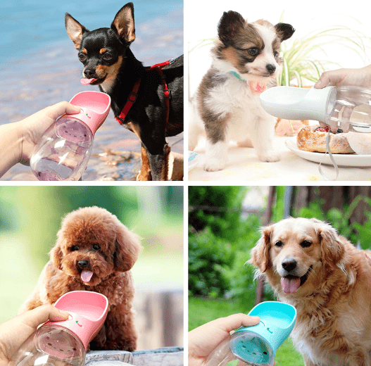 Pet Water Bottle