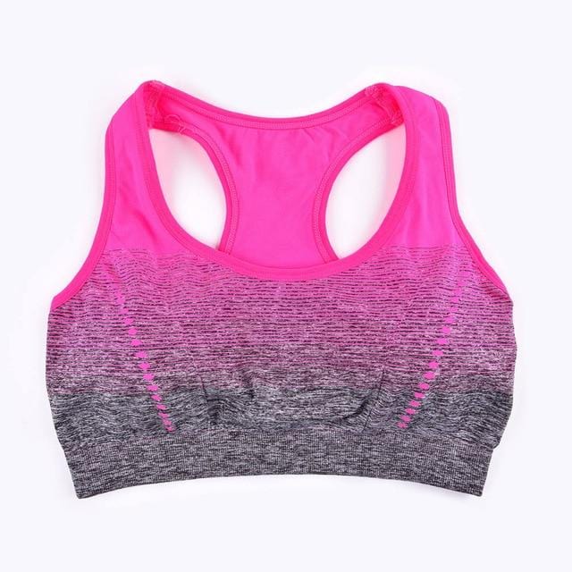 Women High Stretch Sports Fitness Bra |  Seamless Bra | Push Up | Padded Bra 