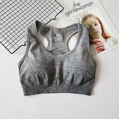 Ombre Seamless Sports Bra