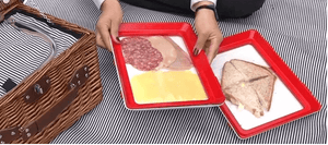 Plastic Preservation Tray