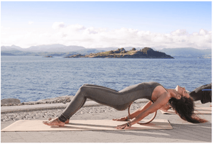 Cork Yoga Wheel